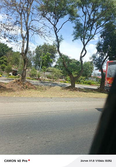 The image displays an outdoor scene under a clear blue sky with scattered white clouds, located in Nakuru East ward, Kenya, as evidenced by a discernible "NAKURU EAST WARD" sign visible in the mid-ground. An asphalt road, featuring a faded white center line, occupies the lower portion of the frame. Adjacent to the road on the right is a median strip composed of dry, light-green grass. Beyond this median, a sloped area is heavily vegetated with numerous trees and shrubs. Two prominent trees with mostly bare, branching trunks stand in the mid-ground, their canopies extending into the sky. Further back, partially obscured by foliage, several structures are visible, including one appearing to be a wooden building with a dark roof. On the far right, the rear section of a large red vehicle, likely a bus or truck, is visible, displaying yellow and red chevron markings. No individuals are present, and no actions or interactions are depicted.