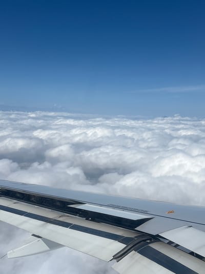 The image shows a view from an airplane window, looking down at a vast expanse of white clouds stretching towards the horizon. The sky above is a clear, deep blue, suggesting a bright day. On the right side of the frame, a portion of the airplane's wing is visible, with its distinctive black and white stripes. The wing appears to be in good condition, with some mechanical components visible within its opened section. There is a small yellow object attached to the wing, possibly a warning or indicator light. Text is visible on the wing, though it is partially obscured and difficult to read clearly. The overall impression is one of being high above the earth, traveling through the sky on a clear day.