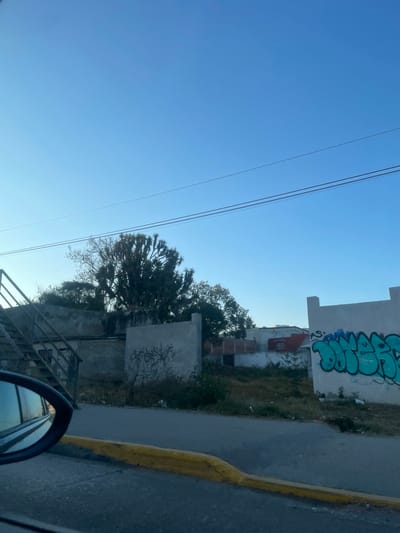 The image depicts an outdoor urban environment in Casa Blanca, Mexico, viewed from the perspective of a vehicle. The upper half of the frame is a clear, bright blue sky, traversed horizontally by two parallel dark utility lines. In the lower left foreground, the black frame and reflective surface of a vehicle's side mirror are visible.
The lower middle ground features dark asphalt pavement, bordered by a distinct yellow painted concrete curb. Beyond the curb, an unpaved strip of ground is covered with dry grass, weeds, and scattered white debris.
To the left, a dark metal staircase with railings ascends diagonally, adjacent to a weathered concrete wall. Behind this wall, a large, multi-branched tree with dark, spiky, succulent-like foliage stands prominently, flanked by other trees with sparser leaves.
To the right, a light-colored concrete wall displays extensive teal-blue bubble letter graffiti, with additional black text including "AS" visible beneath it. Behind this wall, several residential or commercial structures are partially visible, one featuring a red-painted section and another with a visible barred window. No individuals or specific actions are discernible within the frame.