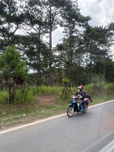 The image shows two individuals riding a blue motorcycle on a paved road. The person in front is wearing a plaid shirt, a helmet, and a face mask. The person behind is wearing a dark jacket, a helmet, and has a pink bag attached to their back. They are both wearing blue boots. The motorcycle is in motion, moving to the right of the frame.
The setting is a rural area with lush green grass and tall pine trees lining the side of the road. A dirt path is visible behind the grass. The sky is overcast with clouds. Based on the attire of the individuals, the vegetation, and the overall landscape, the scene is likely in Thôn 6, Vietnam, possibly during a cooler season. The image appears to be taken from another vehicle traveling in the same direction.