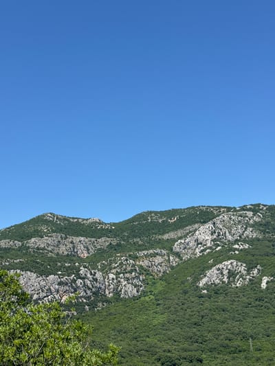 The image shows a mountain in Novoselje, Montenegro, partially covered in green trees and shrubbery, set against a bright blue sky. The mountain's rock formations are visible, varying in color from light gray to dark, weathered tones. The clear blue sky dominates the left side of the image, with the mountain spanning the right side vertically. Some green foliage appears in the bottom right corner.