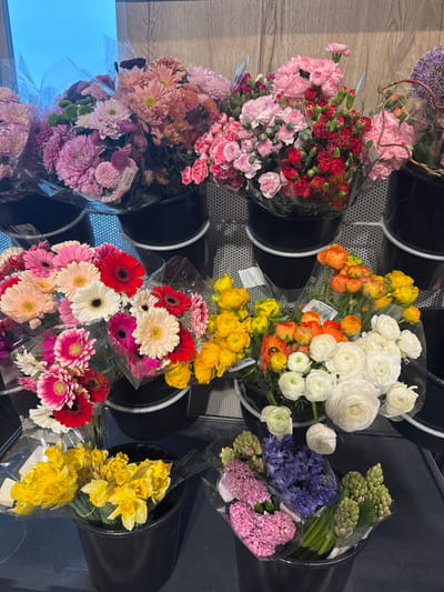 The image displays an indoor retail flower display, likely within a supermarket or dedicated flower shop in Sint-Niklaas, Belgium. Multiple bouquets of cut flowers are arranged in tiered rows, contained within approximately 15-20 black cylindrical plastic buckets. The background transitions from a light-colored, possibly wooden or laminate texture at the top to a grey, perforated metal or plastic grid wall structure below. The base or floor beneath the bottom row of buckets is dark grey or black. Bright, artificial overhead lighting illuminates the scene, with an indistinct bright blue-white area visible in the upper left background.
The upper display tier features bouquets of pink, purple, and reddish chrysanthemums, pink and red carnations, and partially visible purple alliums. The middle display tier contains bouquets of gerbera daisies in white, red, pink, and peach colors, alongside bouquets of yellow, orange, and white ranunculus. The lowest visible tier includes bouquets of yellow daffodils on the left, and pink, purple, and green hyacinths on the right. Most bouquets are individually wrapped in clear plastic sleeves, with some exhibiting small white labels, one of which shows a barcode and a price of "€3.99". No individuals or specific actions are observed; the scene presents a static retail arrangement.