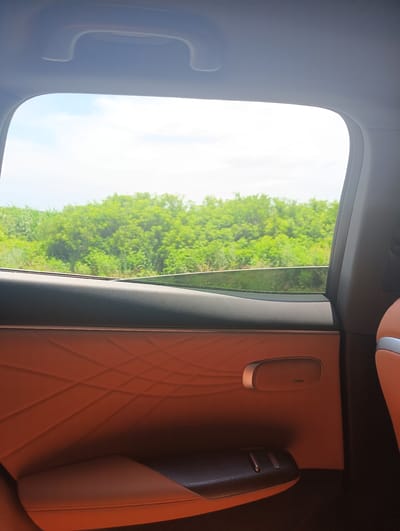 The image shows the interior of a vehicle, looking out a window. The focus is on the car's interior, with a leather door panel in the foreground featuring diamond stitching and a speaker. A window reveals a bright, overcast sky and a dense line of green trees in the background. The scene is devoid of people or any action. The location is not identifiable within the city of Rassvet, Kazakhstan, as there are no discernible landmarks or contextual clues to suggest this specific place.