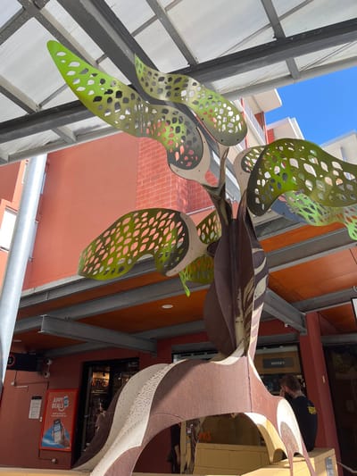The image displays an upward-looking view of a large, elaborate metal sculpture situated in what appears to be a semi-outdoor public area. The sculpture is characterized by organic, flowing forms. Portions of it are a vibrant lime green, featuring a perforated design with numerous small, oval cutouts, resembling stylized leaves. Other sections of the sculpture are an earthy brown and grey, adorned with mottled white speckles, suggesting a tree trunk or branch-like structure.
Above the sculpture, a clear blue sky is visible, partially obscured by an overhead transparent or translucent roof structure supported by grey metal beams. In the background, white building facades and sections of red brick walls are discernible.
To the right of the sculpture, the scene reveals multi-story building exteriors in shades of orange and red, punctuated by grey metal support beams. At ground level, several shopfronts are visible. Inside one of these shops, a person wearing a dark t-shirt with a light logo is partially seen.
Visible text includes "WHISKY" on a sign inside a shop. On a wall below the shops, a red poster prominently displays "APPY DEALS" alongside an image of a smartphone. A smaller black sign beneath this poster shows the letter "S".
The image captures a sunny daytime setting, indicative of a clear weather day. The environment suggests a commercial precinct or a public space, possibly within a university campus, consistent with the Kelvin Grove, Australia context.