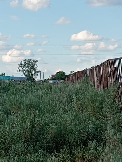 The image depicts a rural scene with a tall wooden fence in the foreground, partially obscured by dense green vegetation. Beyond the fence, several buildings, including structures with corrugated metal roofs and residential houses with red roofs, are visible. A lone tree stands amidst the buildings, and utility poles can be seen in the distance. The sky is a light blue with scattered white clouds, suggesting an outdoor environment. The location is identified as Октябрьское, Kazakhstan.
