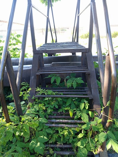 An outdoor, ground-level, eye-level, medium shot captures a rusty metal stairway with a handrail, set against a backdrop of dark industrial pipes. The stairway, composed of metal bars and grating, is partially overgrown with lush green plants. The lower steps are nearly obscured by the foliage, suggesting neglect and the passage of time. The pipes in the background, large in diameter, indicate an industrial setting. Sunlight filters through the leaves and illuminates parts of the scene, casting soft shadows. The overall impression is one of an abandoned or seldom-used industrial area in the city of Novotroitsk, Russia, where nature is reclaiming man-made structures. No people are present in the image.