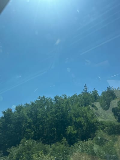 The image shows a clear blue sky with a bright sun in the upper left corner. Below the sky is a dense forest of green trees covering a hillside. The trees are lush and full, with varied shades of green indicating different types of foliage. Some branches and leaves are visible in detail. The photograph appears to be taken from a moving vehicle, as evidenced by subtle reflections and streaks on the surface, likely a window. There are no people or specific man-made structures visible in the image. The natural environment suggests an outdoor scene, possibly a rural or forested area.