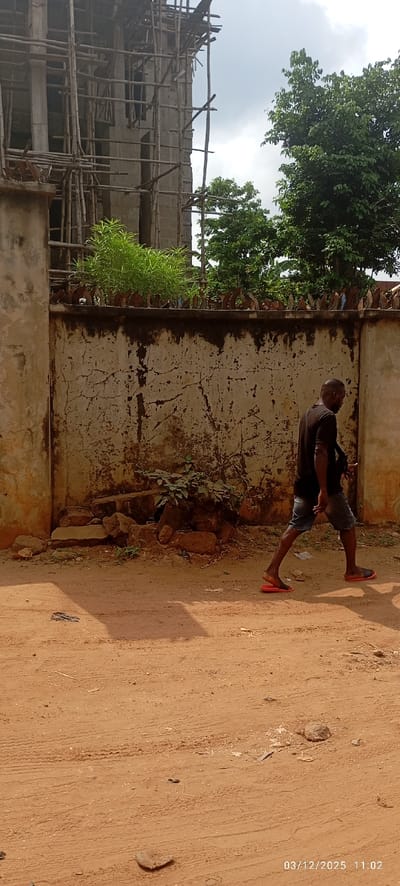 The image displays an outdoor scene in Abagana, Nigeria, captured on March 12, 2025, at 11:02 AM. A male subject, dressed in a black short-sleeved shirt, dark shorts, and black slide sandals with red soles, is walking from right to left in the mid-foreground. A dark strap is visible over his left shoulder. He is positioned on a reddish-brown dirt ground that exhibits tire tracks and scattered debris. Behind the subject, a weathered light-colored wall, featuring two concrete pillars, spans the midground. This wall displays extensive dark discoloration and cracking, and its top edge is lined with irregular, pointed objects consistent with anti-climb features, interspersed with green vegetation. In the background, to the left, a multi-story building under construction, constructed from grey concrete blocks and enveloped by extensive wooden scaffolding, is visible. Dense green tree foliage occupies the background on the right, rising above the wall. The sky overhead is partly cloudy.