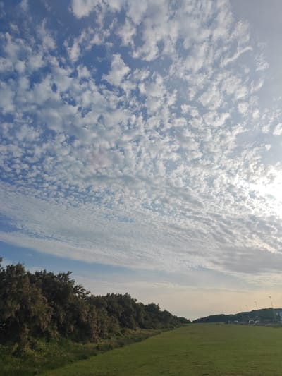 The image depicts a wide, grassy field under a vast sky filled with scattered, wispy clouds. In the foreground, the field is a vibrant green, with some darker, longer grass and bushes lining the left edge. A dense row of dark green trees forms a natural barrier along the left and middle ground. In the distance, the land slopes upwards, with more trees and some buildings visible. A row of streetlights and parked cars can be seen along the far right edge of the field, indicating a developed area adjacent to the open space. The sky is a light blue, gradually fading to a pale yellow or white near the horizon where the sun is likely positioned, partially obscured by clouds. There are a few small figures visible in the distance on the field, suggesting people are present, but they are too small to discern any details about their actions or interactions. The overall scene suggests an outdoor recreational area or park, possibly a coastal location given the open sky and natural vegetation. While the specific location in Worthing, United Kingdom, cannot be definitively determined from the visual information alone, the presence of a large grassy expanse adjacent to trees and a developed area with streetlights is consistent with many parks and open spaces found within the city.