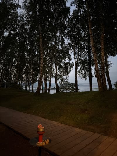 A low-angle, dimly lit, vertical shot captures a scenic view of a lakeside landscape in Parnaya, Russia. In the foreground, a wooden boardwalk extends from the lower left corner diagonally upwards. Resting on the boardwalk is a red hookah with glowing coals atop its bowl, surrounded by shisha tobacco. Beyond the boardwalk, a patch of grass slopes down towards a body of water, likely a lake, which is visible in the mid-ground. A thin pier with a small structure on it crosses the water, and faint lights suggest habitation on the opposite shore. A dense line of birch trees with dark foliage frames the upper half of the image, with their distinctive white bark visible in places. The sky above is a pale, overcast grey, indicating dusk or dawn. The scene is quiet and serene, with no people visible.