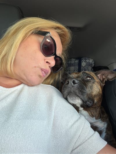 This is a close-up, selfie-style photograph taken inside a vehicle, likely a car, with a person and a dog. The person, a woman with blonde hair and wearing sunglasses, is leaning in towards the dog with her lips puckered. She is wearing a white, knitted sweater. The dog, a brindle-colored pit bull type, is resting its head on the woman's shoulder and looking up at her. The background shows dark car upholstery and a patterned bag. The lighting suggests it is daytime, and the scene is likely a personal moment shared between the woman and her pet during a car journey. The location is specified as the city of Schäffern, Austria.