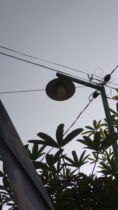 An outdoor, low-angle, medium shot shows a street lamp and overhead power lines against a pale, overcast sky. The street lamp, a dark disc with a white bulb, is suspended from a green pole on the right side of the frame. The pole is attached to a horizontal green arm that extends to the left, supporting the lamp. Electrical wires crisscross the sky. Lush green leaves of a plant are visible in the foreground, obscuring the bottom right portion of the image. A dark, diagonal object with a patterned surface occupies the lower left quadrant. The image appears to have been taken in Trosobo, Indonesia, likely during the day.