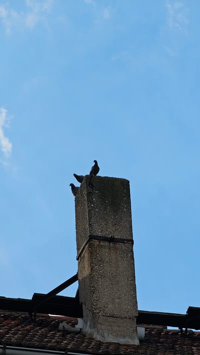 This low-angle shot captures a concrete beam protruding from a brick building against a clear blue sky with sparse white clouds. Silhouetted against the bright sky, three pigeons are perched precariously on the edge of the beam. One pigeon is positioned at the very tip, facing left, while the other two are slightly further back and also facing left. The concrete beam appears aged and weathered, with visible rust marks and cracks. It is supported by a dark metal bracket. To the right, the textured surface of the brick building is visible, with roof tiles forming a pattern. The bright sky suggests it is daytime, likely a sunny day. There is no visible text in the image. The scene is set outdoors, possibly on the side of a building in an urban or semi-urban environment.