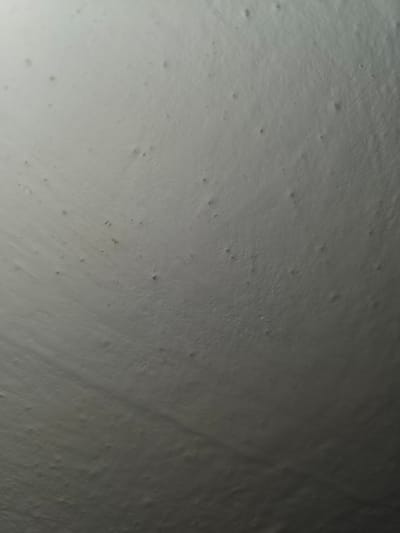 The image is a close-up, abstract shot of a textured, off-white surface, likely a wall or ceiling, with subtle indentations and slight variations in tone. The lighting creates a gradient, with the top left appearing brighter and the bottom right becoming progressively darker, suggesting an overhead light source or a shadow. There are no visible people, objects, or discernible scene. The surface appears to be matte and has a slightly uneven, possibly plaster-like texture with small, scattered pores or imperfections. The overall impression is one of a neutral, undetailed, and possibly indoor setting. The lighting suggests it could be daytime or a well-lit indoor environment. No text is visible. The location context of Troyanovo, Bulgaria, does not provide any specific visual cues within the image itself.