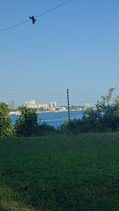 The image presents a daytime panoramic view from Mtongwe ward, Kenya, looking northeast across Kilindini Harbour towards Mombasa Island. The foreground is dominated by vibrant green grass with some darker, indeterminate linear objects on the ground plane. In the mid-ground, the tranquil blue waters of Kilindini Harbour are visible, dotted with several small white vessels. The distant shore, identified as Mombasa Island, features a prominent urban skyline composed of numerous multi-story buildings and skyscrapers, predominantly light-colored. Green foliage, comprising bushes and trees, partially frames the harbour view on both the left and right sides. A black fence post with insulators or wire holders stands vertically on the right side of the mid-ground, with multiple thin, dark wires extending horizontally across the frame. Above, against a clear light blue sky, a single purple and red clothespin is clipped to a thin wire spanning the upper left portion of the image. No individuals are visible. The scene is brightly illuminated, indicating clear weather.