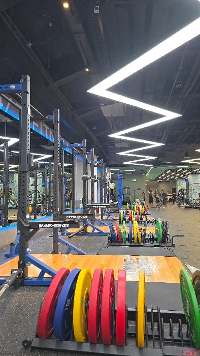 Gym equipment is arranged in rows beneath zig-zag ceiling lights. Racks with various colorful weight plates stand at the end of the rows. People are exercising in the background. The equipment is dark colored with blue accents and "HAMMER STRENGTH" labels. The floor is gray and partially covered by a light-colored mat.
