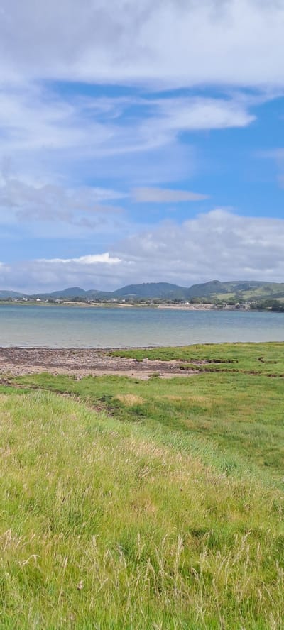 This is a vertical, landscape-oriented photograph taken at Pier Road, Ireland. The scene depicts a coastal view with a body of water, a grassy bank, and a cloudy sky.
The left side of the image is dominated by a bright blue sky with scattered white clouds. The clouds are wispy and stretch across the frame, suggesting a dynamic sky.
The middle section features a calm, greenish-blue body of water, likely the sea. Along the edge of the water, there is a narrow strip of rocky shore. Further inland, a line of buildings and hills can be seen, with a road running parallel to the coast. The hills are covered in green vegetation, indicating a rural or semi-rural setting.
The right side of the image is a close-up of a lush green grassy bank, with some dried grass mixed in. The texture of the grass suggests it is a natural, untamed area.
The time of day appears to be daytime, given the brightness of the sky. The weather seems to be mixed, with a combination of sunshine and clouds. The overall mood of the image is serene and natural, capturing the beauty of the Irish coastline. There is no visible text in the image.