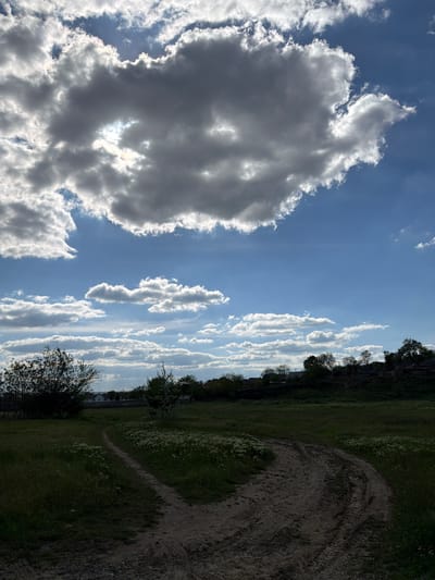 The image shows a landscape with a path to the right and the sky to the left. A dirt path winds through a field of grass and wildflowers. In the distance, houses are visible beyond a tree line. The sky is filled with scattered clouds, including a large cumulonimbus cloud on the left. The photo was taken in an open area in Taraclia, Moldova.