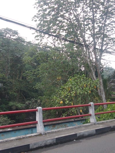 This image captures a view from a bridge overlooking a lush, green landscape in Megamendung, Indonesia. The foreground features the bridge railing, painted red and supported by concrete pillars. The bridge deck, composed of concrete and asphalt, is visible with a black and white striped curb. Beyond the railing, dense foliage and trees dominate the scene, with power lines strung across the upper portion of the frame. The environment suggests a natural setting within the city, possibly a road that passes over a ravine or body of water. No people are visible in the image.