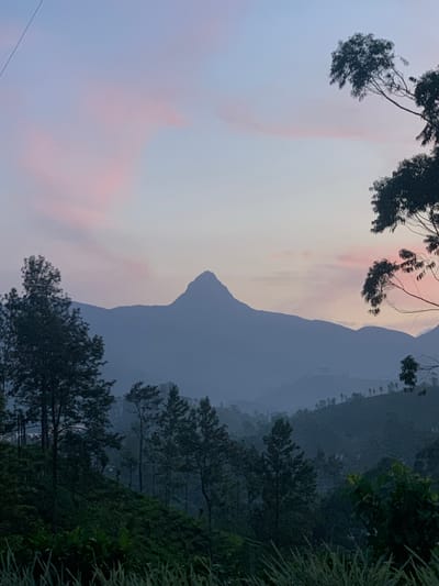 The image captures a serene mountain landscape at dusk, likely in Kuda Maskeliya, Sri Lanka. The sky is a gradient of soft blues and pinks, with wispy clouds suggesting the last light of the day. A prominent, conical mountain peak dominates the mid-ground, silhouetted against the fading sky, with lower, rolling hills receding into the distance, covered in a verdant, possibly tea plantation, landscape. In the foreground, dark green foliage and tall grasses create a natural frame. Several trees, their branches bare of leaves in some parts, punctuate the scene, adding depth and texture. The overall atmosphere is one of tranquility and natural beauty, with no people or discernible man-made structures present in the immediate foreground or mid-ground. The lighting suggests it is either dawn or dusk, with the light source low on the horizon.