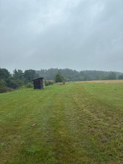 An outdoor, medium-shot, eye-level, full-frame photograph captures a rural landscape under an overcast sky in Sabile, Latvia. The foreground is dominated by a vibrant green, slightly uneven grassy field, with a distinct dirt path running diagonally from the lower right towards the center of the image. Scattered yellow wildflowers are visible within the grass. In the middle ground, to the left, stands a small, dark wooden outhouse with a sloped roof and a single door. Further into the field, a second, smaller wooden structure is visible, also with a sloped roof. The background features a dense, dark green forest that stretches across the horizon. The overall atmosphere is subdued due to the cloudy weather, suggesting a potentially damp or humid environment. No people are present in the image.
