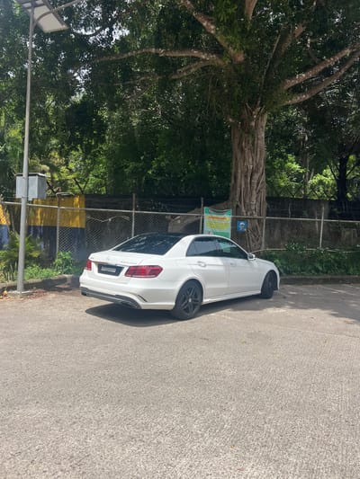 A white Mercedes-Benz sedan is parked on the side of a paved road. The car is oriented with its rear facing the viewer and its driver's side closest to the camera. It has a dark-colored exhaust pipe and a license plate that reads "RAN6689". The car is partially shaded by a large, gnarled tree with thick branches and lush green foliage. Behind the tree and car, a chain-link fence separates the road from an area with more vegetation and some yellow and black striped barriers. A blue sign with a bicycle symbol is visible on the fence, and a green sign with yellow text, which appears to be an attention notice, is also present. The scene appears to be outdoors, likely in a tropical or subtropical climate, given the dense greenery and mature trees. The lighting suggests it is daytime, possibly late morning or early afternoon, with the sun casting shadows. The overall setting appears to be a roadside area adjacent to a natural or park-like environment, possibly near a border crossing as suggested by the location context of Wang Kelian, Malaysia. There is no visible activity taking place; the car is stationary.