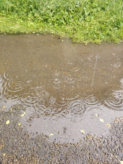 The image shows a close-up of a puddle on an asphalt path next to a grassy area. The scene is likely outdoors and appears to be during the daytime. The weather is rainy, as evidenced by the ripples on the surface of the puddle and the visible raindrops. The grassy area is lush and green, with some fallen leaves scattered on the ground and in the water. The asphalt is dark and wet, reflecting the surrounding environment. There are no people or animals visible in the image, and no text is present. The overall mood of the image is calm and serene, capturing a moment of natural beauty during a rain shower. The location is identified as Bulanaš, Russia.