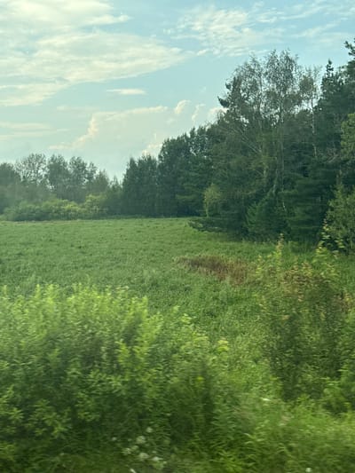 This is a photograph of a vast, green meadow bordered by a dense forest. The sky above is a pale blue, dotted with wispy white clouds. The foreground of the image is filled with the blurred shapes of green bushes and trees, suggesting movement, perhaps from a vehicle. The meadow itself is lush and appears to be undisturbed. In the background, the forest is a dark, uniform green, with the tops of the trees reaching towards the sky. The overall impression is one of natural beauty and tranquility. The location of Retneva, Russia is not ascertainable from the visual information provided in the image.