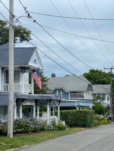 This media file depicts a residential street scene in Oak Bluffs, USA. The foreground is dominated by a wooden utility pole and a thick cluster of overhead power lines, set against a pale, cloudy sky. To the right, the image captures the side of a blue house with white trim, adorned with an American flag flying from a porch. Beyond this house, another blue and white residence is visible, with a white railing and an American flag on a smaller pole. Further back, a white house with a gray roof and a tall chimney stands amongst lush green trees. The scene is set on a paved road with a grassy verge and a vibrant flower bed overflowing with colorful hydrangeas in shades of purple, pink, and white. A small "No Parking" sign is visible on a pole amidst the greenery. The overall impression is of a quiet, residential neighborhood on an overcast day, likely during daylight hours.