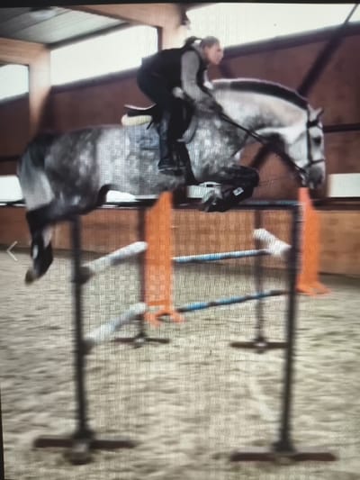 A blurry, low-resolution image shows a horse jumping over an obstacle. A person is mounted on the horse, wearing a dark vest and a light-colored long-sleeved shirt. The horse is gray with dark speckles and is in mid-air, with its legs tucked. The obstacle appears to be a jump made of poles and orange cones. The background is an indoor riding arena with wooden walls and a light-colored ceiling. The image is pixelated and lacks fine detail. The location in Kievskiy, Russia is not discernible from the image.