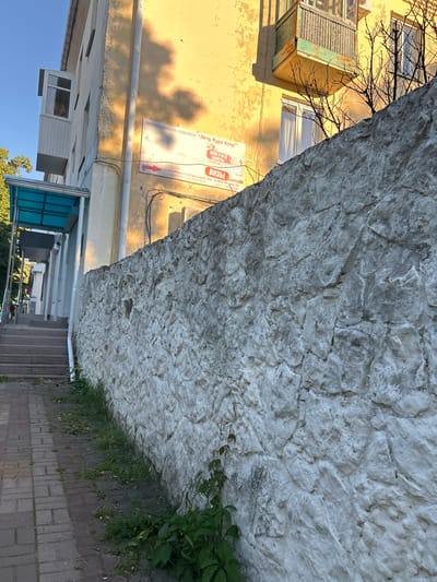 This image captures a bright, sunny street scene in a town or city, specifically Tikhoretsk, Russia, as indicated by visible text. The composition is dominated by a large, roughly textured wall, possibly made of stone or concrete, painted a light off-white color. To the left, a distinct yellow building, showing signs of age with some peeling paint, features several windows, one with white blinds, and an enclosed balcony or structure with a textured, possibly metallic, facade. Bare tree branches cast intricate shadows across the yellow wall.

At the base of the prominent textured wall, green foliage, including leafy plants and grass, grows alongside a paved sidewalk or pathway constructed from grey and reddish-brown pavers. Further down, other architectural elements are visible, including a building with a blue overhang. The clear blue sky suggests pleasant weather, and the long shadows cast on the yellow building indicate either morning or late afternoon. No explicit human activity is observed.

A prominent sign on the yellow building provides specific details. Written in Russian, it advertises a "ТУРИСТИЧЕСКОЕ АГЕНТСТВО 'Лечу Куда Хочу!'" (Travel Agency "I Want to Fly Where I Want!"), offering "АВИА И Ж/Д БИЛЕТЫ" (Air and Rail Tickets) and "ВИЗЫ" (Visas). The sign also specifies that it is located in the "(ЗДАНИЕ СТАРОЙ АПТЕКИ)" (OLD PHARMACY BUILDING) at "Г.ТИХОРЕЦК, УЛ. ОКТЯБРЬСКАЯ, 19/5" (Tikhoretsk, Oktyabrskaya St, 19/5). Two phone numbers are also legible: 8 (902) 40-566-79 and 8(961) 508-1-69. The location, identified as Tikhoretsk, is a city within Krasnodar Krai, Russia.