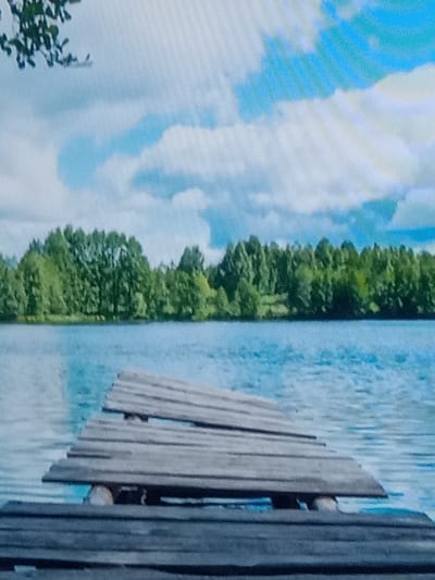 The image depicts a serene natural landscape with a wooden pier extending into a tranquil blue lake. The pier, constructed from weathered wooden planks, is partially submerged and shows signs of age and disrepair, with some planks broken or askew. Beyond the lake, a dense line of lush green trees forms a treeline across the horizon. The sky above is a canvas of light blue, dotted with fluffy white clouds, suggesting a pleasant, possibly sunny day. A few dark green leaves are visible in the upper left corner, hinting at foliage from a nearby tree. The overall impression is one of peaceful natural beauty. There are no people or animals visible in the image, and no man-made structures other than the pier. The location is not specified within the city of Kielce, Poland; it is a general nature scene.