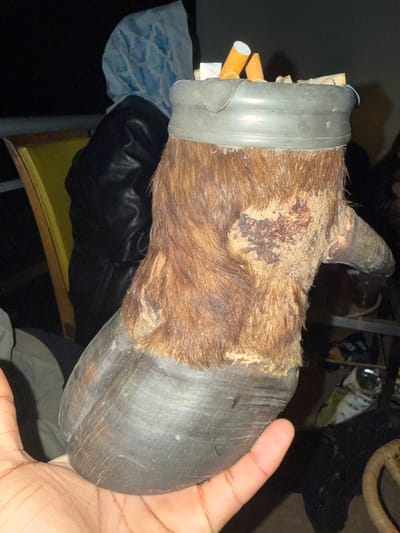 A human hand holds a preserved horse hoof, with a metal band around the top filled with cigarettes. The location in Montreuil, France is not discernible from the image.