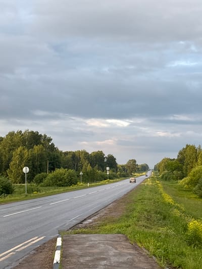 The image shows a two-lane asphalt road in Заборье, Russia, stretching into the distance under a cloudy sky. Dense green trees and bushes line both sides of the road. A few cars are visible on the road, with one in the foreground. Road signs and utility poles are scattered along the roadside. The ground on the right side of the road is covered with lush green grass and small yellow wildflowers. In the foreground, there is a concrete pedestrian crossing with black and white striped borders. The overall scene depicts a rural or suburban highway setting in Заборье.