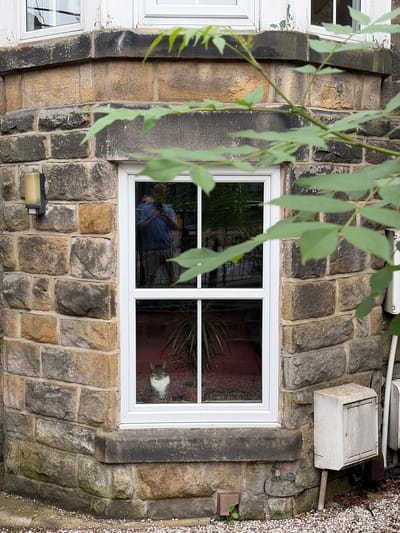 An outdoor, slightly rotated (clockwise) shot depicts a section of a building with a rugged stone facade, possibly in Harrogate, UK. A prominent, modern white-framed window with multiple panes occupies the central and lower-left portion of the image.

The building's exterior is constructed from irregular, rough-hewn stone blocks in varying shades of grey, brown, and tan, bound by light-colored mortar. A thin, leafy green branch hangs diagonally across the foreground, partially obscuring the view of the wall and window.

Inside the window, on the lower right pane, a tabby cat with white fur on its chest is clearly visible, looking out towards the viewer. In the upper left pane, a reflection of a person (presumably the photographer) wearing a blue shirt is visible. Other reflections show parts of the interior, including green house plants.

Below the main window, on the stone wall to the left, a brass-colored outdoor light fixture is mounted. Higher up and to the right of the window, a weathered white rectangular utility box is attached to the stone wall. Further to the right, a small brown box-like fixture is also on the wall. The ground to the right of the building appears to be covered in light-colored gravel.

To the far left of the main window, a partial view of another white-framed window is visible, exhibiting peeling white paint on its frame, suggesting an older installation or needing maintenance. The overall impression is daytime, with diffused light, possibly overcast, given the reflections and lack of harsh shadows. There is no visible text in the image.