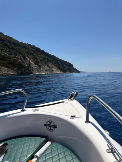 This is a first-person perspective shot from a white motorboat moving across calm, dark blue waters under a clear, bright blue sky. The boat's bow is visible in the foreground, featuring a chrome railing and a logo with an anchor and the text "IONIAN BOATS". Green padded seats are also visible in the lower portion of the frame, along with a spray can and what appears to be a rolled-up cloth. To the left, a densely forested, rocky hillside slopes down to the sea, with patches of exposed rock faces. In the distance, the sea stretches towards a hazy horizon, with a few other boats visible. The scene suggests a sunny day in a coastal area, likely a body of water in or near Spartochori, Greece, given the boat's branding.