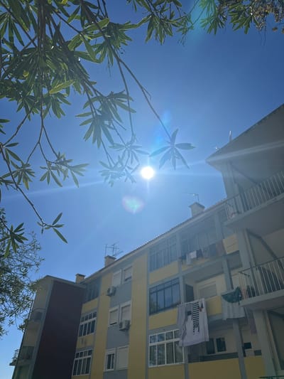 The image depicts an upward view in what is likely a residential area. A vibrant blue sky is partially obscured by a tree with green leaves. The bright sun is visible, creating a lens flare effect. To the right of the image, a multi-story building with a yellow and grey facade is visible. Clothes are hanging out to dry on the balconies of the building. The architecture appears to be typical of urban residential areas, possibly in Seixal, Portugal.