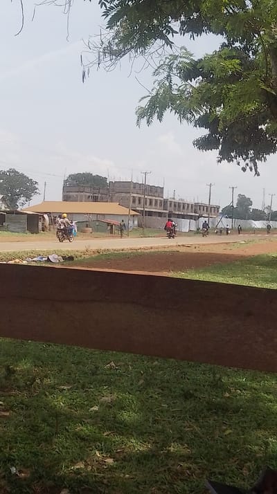 The image depicts an outdoor, daylight scene within Siaya Township ward, Kenya. In the immediate foreground, a patch of green grass with scattered brown debris is partially obscured by a large, out-of-focus dark brown object at the bottom. A dirt road runs across the midground, occupied by multiple individuals and vehicles. On the left side of the road, a motorcycle carries a driver wearing a yellow helmet and at least two passengers, with items strapped to the rear. Moving rightward, a lone individual walks on the dirt road. Further right, two additional motorcycles with riders are visible, along with several pedestrians in the distance. The background features a series of structures: immediately behind the road are single-story buildings with corrugated metal roofs and varied wall materials. Behind these, a prominent, multi-story concrete building is under construction, displaying exposed rebar and multiple unfinished floors. Utility poles with power lines are visible throughout the background. The upper half of the image consists of a light blue sky with sparse clouds, partially framed by the green foliage and elongated seed pods of a tree in the upper left and right corners.
