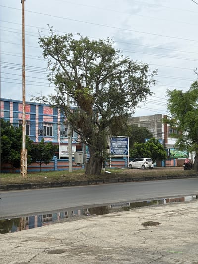 A street scene in Meunasahmanyet, Indonesia, features a two-story building with a colorful facade of blue and pink horizontal stripes, visible behind a mature tree with dense foliage. The building has several windows, some with air conditioning units. A white hatchback car is parked on the side of the road in front of the building. A sign with Indonesian text is posted near the car. In the foreground, a wet asphalt road reflects the building's colors, indicating recent rain. A cracked concrete sidewalk runs along the road. A rusty utility pole stands to the left of the frame, with overhead wires visible against a cloudy sky. Other trees and a fence are also present in the background.