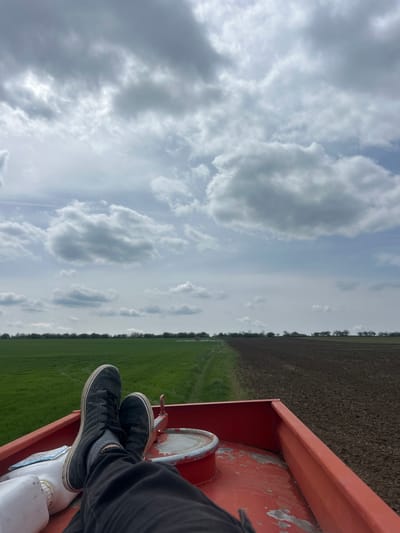 The image shows a view of a field from an elevated position, potentially from a vehicle or structure. A portion of the frame is occupied by a red container, with a pair of feet in black shoes resting inside. The field is divided into sections of green grass and tilled brown earth. The sky is cloudy. The location is Novosel, Bulgaria.