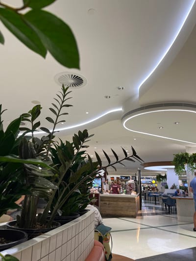This image, taken in Indooroopilly, Australia, captures a modern indoor commercial space, likely a shopping center or large cafe, from a low perspective. The foreground is dominated by a row of lush, dark green Zamioculcas zamiifolia (ZZ plants) in black pots, housed within a white planter box with a small-tiled surface.

The setting features a contemporary design with a clean, bright aesthetic. The ceiling is a smooth, white, undulating surface adorned with integrated LED strip lighting that follows its curves, creating a dynamic, illuminated effect. Several circular light fixtures and discreet white air vents are also visible on the ceiling.

In the midground and background, the scene reveals a food service area. A counter or kiosk with a light wooden finish is visible, where at least one person in a red/maroon shirt appears to be working. Numerous blurred figures of people are scattered throughout the background, some seated at tables with dark chairs, others standing, suggesting activities like ordering food, eating, or socializing. Hanging plants are incorporated into the upper structures of the space, adding more greenery. The floor is tiled with a geometric pattern in light and dark shades. No specific text is clearly legible. The overall impression is that of a well-lit, active, and modern public dining or gathering area during what appears to be daytime, given the bright artificial lighting.