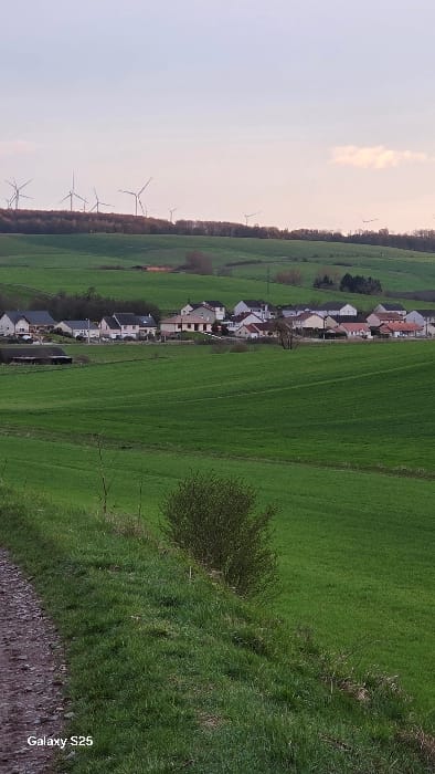 The image displays a panoramic view of a rural landscape near Ottonville, France, under diffused lighting conditions, likely dawn or dusk.
In the foreground, a dark, unpaved dirt path occupies the lower-left quadrant, bordered on its right by a strip of short green grass. Adjacent to the grass, a small, dense shrub with fine, leafless branches is visible. The dominant feature of the lower and mid-ground is a vast expanse of vibrant green agricultural fields, exhibiting slight undulations and subtle linear patterns.
Centrally positioned in the mid-ground, nestled within the green fields, is a village or hamlet composed of approximately 15-20 residential structures. These buildings feature diverse architectural styles with pitched roofs in red, brown, and grey, and walls predominantly in white, cream, or light beige. To the left of the main residential cluster, a dark-roofed, rectangular barn-like structure is present.
The background reveals a distant treeline, forming a dark-green and brown horizontal band above the village. Above this treeline, numerous white wind turbines, estimated between 15 and 20, are visible across the horizon. Each turbine possesses a tall, slender tower and a three-bladed rotor that appears static. The sky above is a gradient of pale blue and grey, with subtle hints of pink or orange near the horizon, and a few sparse, wispy clouds in the upper-right quadrant. No individuals or active interactions are depicted in the scene. A "Galaxy S25" watermark is present in the lower-left corner.