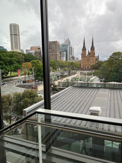 The image captures an expansive urban landscape under an overcast sky, viewed from an elevated perspective, likely a window or balcony of a building. The scene depicts a bustling city environment alongside green public spaces.

In the mid-background, a magnificent Gothic Revival cathedral with two prominent spires and a large rose window dominates the skyline, strongly resembling St. Mary's Cathedral in Sydney. Surrounding the cathedral are numerous multi-story buildings, ranging from older architectural styles to modern glass and steel high-rises, forming a dense cityscape.

Below the cathedral and extending into the mid-ground is a large park area, characterized by lush green trees, pathways, and manicured landscaping. A road runs through the park, with a few cars visible and small figures of people walking along the sidewalks and paths, indicating general pedestrian activity. Streetlights and traffic signals are also present.

The foreground features the architectural elements of the vantage point. A dark window frame spans the left side and bottom of the image. To the right, a contemporary building structure with a corrugated metal roof and large glass panels is visible. The glass reflects parts of the sky and surrounding structures, while a white, dome-shaped object (possibly a vent or sensor) is mounted on the roof.

The time of day appears to be daytime, though the heavy cloud cover suggests a cloudy or overcast weather condition, casting a soft, diffused light over the scene. The presence of St. Mary's Cathedral confirms the location as Sydney, aligning with the provided context of Woolloomooloo, which is a neighboring suburb. Visible text on a red banner in the park is partially obscured but seems to include "AUSTRALIA". Another yellow rectangular sign near the street has unreadable text. The overall atmosphere is calm, reflecting typical urban life on a cloudy day.