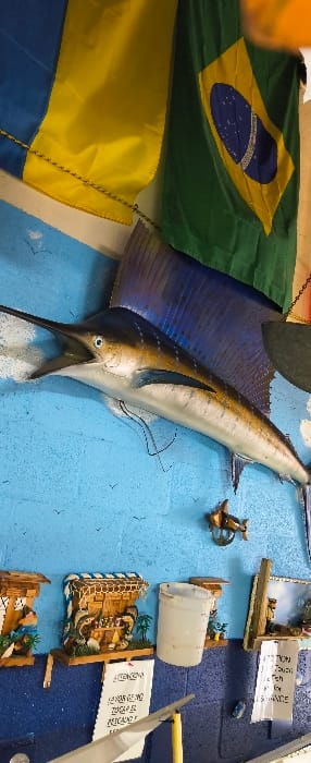 An interior scene depicts a blue-painted textured wall adorned with nautical and international decor, likely within a commercial establishment in Cutler Bay, United States of America. Dominating the upper center is a mounted replica or taxidermy sailfish, oriented horizontally, with its mouth open, a prominent bill, and a large, rigid blue dorsal fin. A fishing line or thin wire hangs loosely beneath the sailfish's head. To the upper left, a yellow and blue flag (possibly Ukraine) hangs, partially obscured, next to the flag of Brazil (green, yellow rhombus, blue circle with stars), both suspended from the ceiling or an upper fixture.
The blue wall section is textured and features small black bird silhouettes painted across it. Below a dark horizontal line, the lower wall section is a darker, solid color, possibly dark blue or black. Several decorative wooden or resin display shelves are mounted on the lower part of the blue wall, each featuring miniature, often beach or fishing-themed scenes, such as a beach hut. A white plastic bucket is also suspended from the wall between two of these decorative pieces. To the right of the sailfish, a small wooden carving of a fish or shark is mounted.
Two white signs with black text are visible, partially obscured by an object in the foreground. One sign clearly displays "ATENCION" at the top, followed by "FAVOR NO TOCAR EL PESCADO" (Please do not touch the fish) in Spanish. The other sign is less legible but also appears to be a warning. No people are visible in the frame. The environment suggests a fishing-themed business, such as a tackle shop, seafood restaurant, or bar.