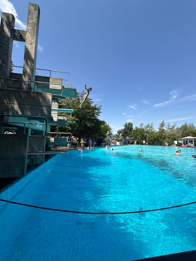 This image depicts a sunny day at an outdoor swimming pool, likely located in Rheinbach, Germany, given the provided context. In the foreground, a large concrete diving structure dominates the left side of the frame, with multiple diving boards extending over the turquoise water. A young person is captured mid-air, in the process of diving from one of the higher boards, their body arched. The pool itself is expansive and filled with bright blue water, with ripples on the surface indicating movement. Numerous people are visible in and around the pool. Some are swimming, while others are relaxing on the poolside. Trees line the background, suggesting a park-like setting. The sky is clear blue with a few scattered clouds, contributing to the overall impression of a pleasant summer day.