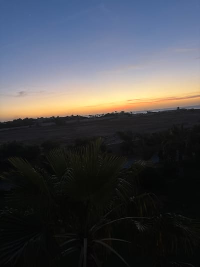 A high-angle, full shot captures a serene dusk scene in Taguermess, Tunisia. The sky transitions from a deep blue at the top to a vibrant gradient of orange, yellow, and pink near the horizon, hinting at the setting sun. Two bright points of light, likely stars or planets, are visible in the upper portion of the sky. Below the horizon, a dark, silhouetted landscape features scattered palm trees and low-lying buildings, suggesting a coastal or semi-arid environment. The foreground is dominated by the dark, out-of-focus fronds of a palm tree, partially obscuring the view of the distant scene.