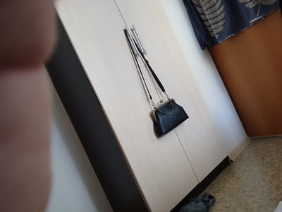 A black leather handbag with a chain strap hangs on the handles of a beige wardrobe in a room. The wardrobe doors have brushed metal handles. To the left of the wardrobe is a dark grey panel, and to the right, a light brown wooden door is visible. The floor is covered in a patterned linoleum. A dark fabric with a fern-like pattern is draped over the top of the wardrobe on the right. A blurred hand is visible in the foreground on the left.