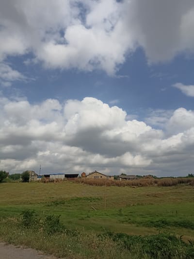 The image depicts a rural landscape under a cloudy sky. In the middle ground, there are several buildings, likely farm structures, with various roofs. A field of dry, tall grass or crops is visible behind the buildings, and to the left, there is a green grassy hill. In the foreground, a patch of green vegetation and some dry grass is present. Electrical wires are strung across the scene horizontally, supported by poles that are not entirely visible. The sky is a mix of blue and white clouds, with large cumulus formations dominating the upper portion of the image. The location is identified as Red Sloboda, Azerbaijan.