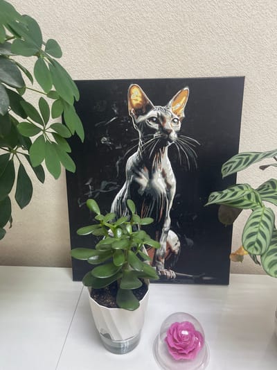 A painting of a Sphynx cat is displayed on a shelf in Nefteyugansk, Russia. The painting, which is rendered in a monochromatic style with shades of grey, white, and black, depicts the cat with striking features and piercing eyes. To the left of the painting, a lush green Schefflera plant adds a vibrant touch to the scene. To the right, a Calathea plant with its distinctive striped leaves complements the artistic composition. In the foreground, a Jade plant in a white pot sits beside a clear glass dome containing a delicate pink rose, adding a touch of elegance and charm to the arrangement. The wall behind the painting has a textured pattern, suggesting an indoor setting.