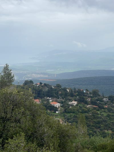 An elevated landscape photograph captures a hillside settlement situated within what appears to be the Merom HaGalil Regional Council, Israel, under a uniformly overcast sky. The immediate foreground is dominated by dense, leafy green foliage and tree branches, with a prominent conifer visible on the left. In the midground, a residential community is spread across a verdant slope, comprising multiple detached houses with light-colored facades and distinct reddish-orange tiled roofs, interspersed among a dense arrangement of green trees and shrubs. Overhead power lines are visible, horizontally traversing the settlement. Beyond the developed area, a wide valley or plain extends, revealing a winding road, cultivated green fields, and patches of reddish-brown earth. In the distant background, a large body of water, possibly a lake or sea, is discernible with a curved shoreline and faint indications of coastal development, backed by hazy mountain ranges. No individuals, specific actions, or interactions are visible.